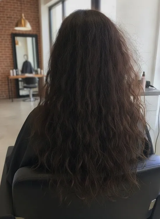Before, from behind: long dark brown hair, frizzy and dry
